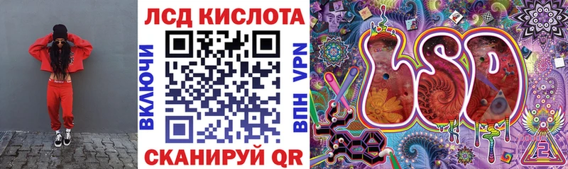 shop клад  наркотики  Краснознаменск  Марки 25I-NBOMe 1,8мг 