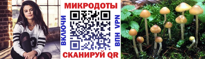 купить наркоту  даркнет телеграм  гидра tor  Псилоцибиновые грибы MAGIC MUSHROOMS  Краснознаменск 