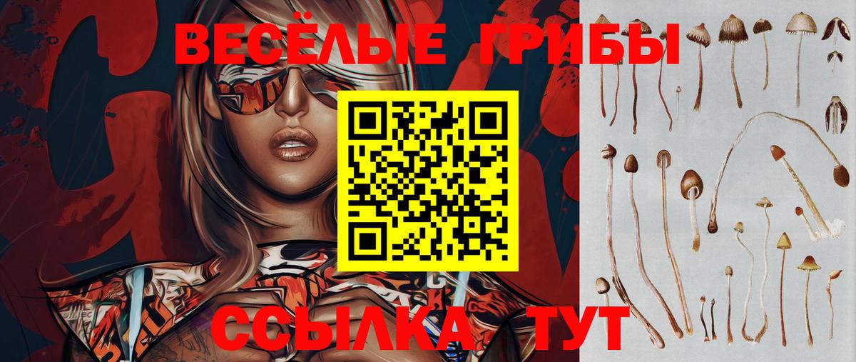 Псилоцибиновые грибы Cubensis  Галлюциногенные грибы MAGIC MUSHROOMS  Вход с VPN  Краснознаменск 
